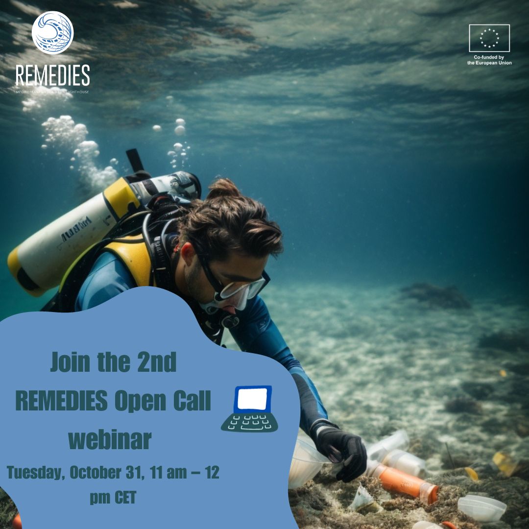 2nd Webinar REMEDIES Open Call 1
